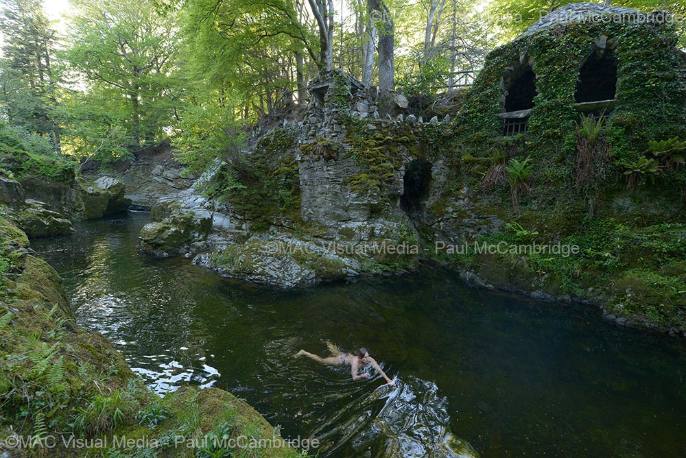 Hermitage Tollymore 11b web