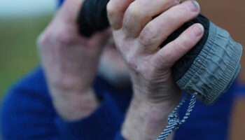 Paul’s Pics of Paddy